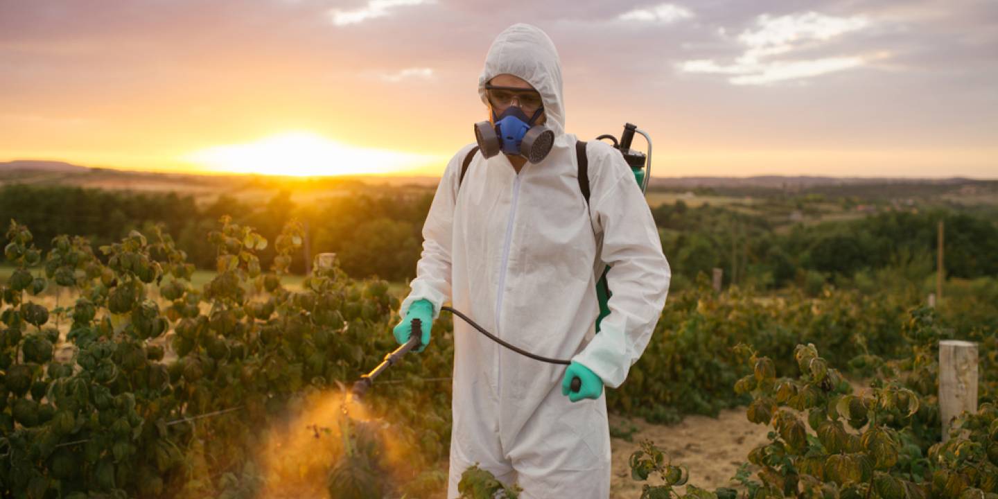 person spraying pesticides