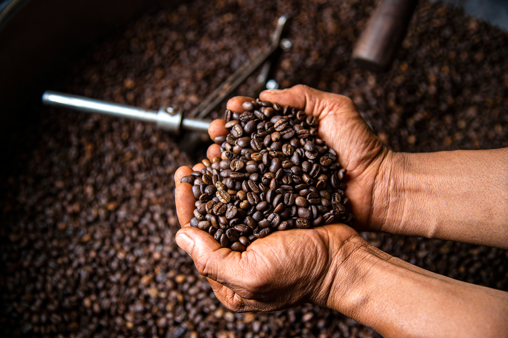 COFFEE: THE JOURNEY FROM THE SEED TO YOUR CUP